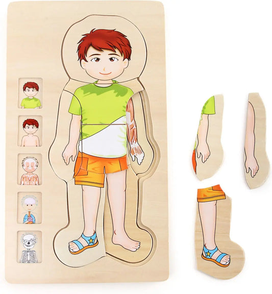 Puzzle d'Anatomie  Small-foot casse-têtes jouets en bois Cadeaux & Trésors By SIFENNASR.S